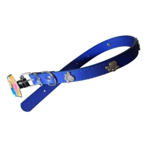 Collar para Perro de 40 cm Ajustable y Resistente - Azul