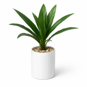 Planta Artificial Decorativa en Maceta | 25 x 15 cm